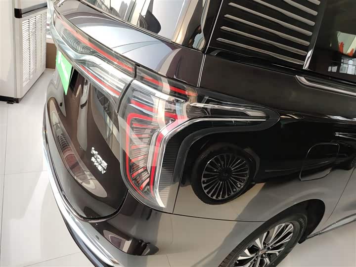 Фото 8 - Hongqi HQ9 Hybrid