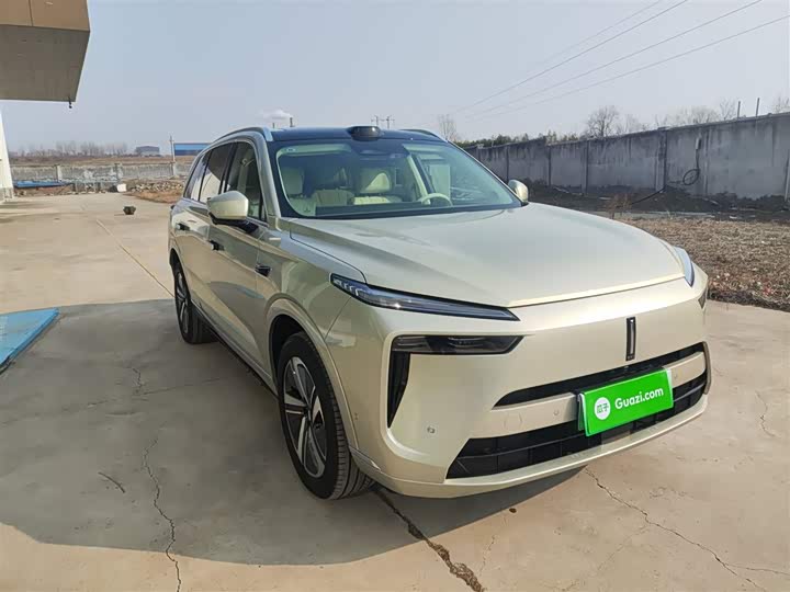 Фото 4 - Wey Lanshan