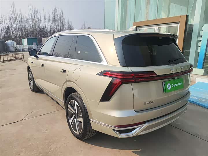 Фото 5 - Wey Lanshan