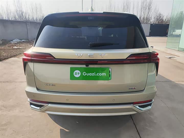 Фото 6 - Wey Lanshan