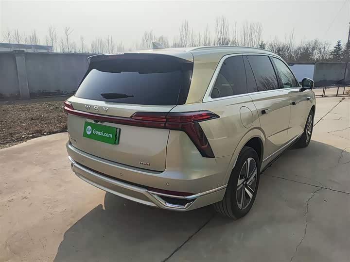 Фото 7 - Wey Lanshan