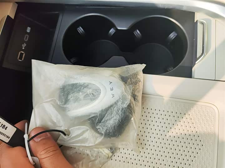 Фото 9 - Wey Lanshan