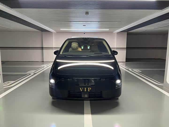 Фото 2 - LiXiang Mega