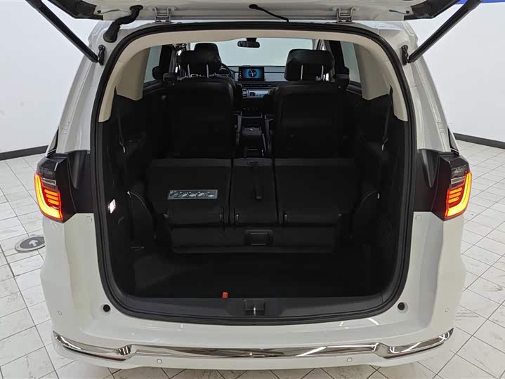 Фото 4 - Honda Elysion