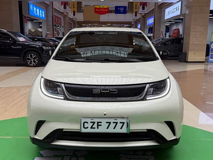 Фото 1 - BYD Dolphin