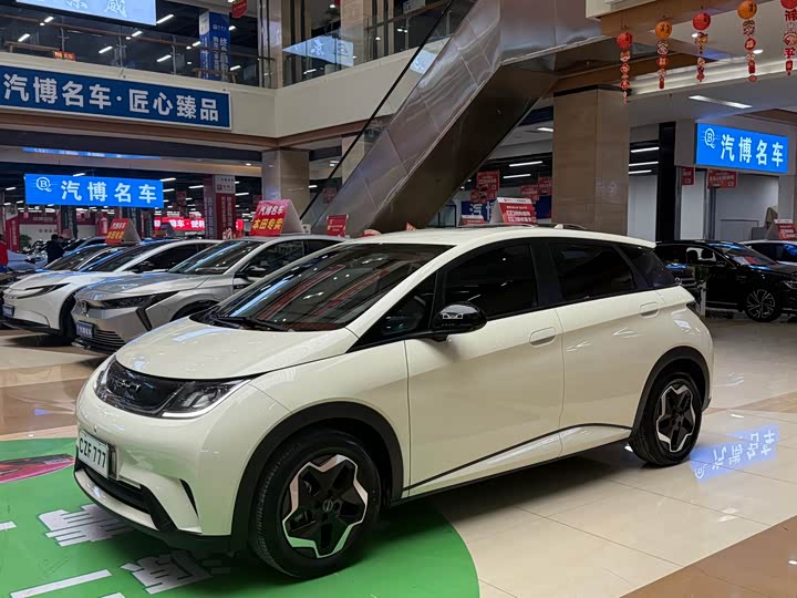 Фото 2 - BYD Dolphin