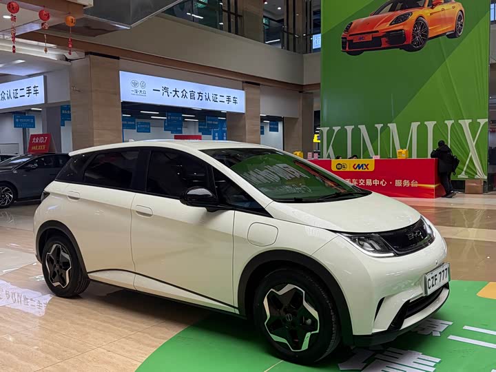 Фото 3 - BYD Dolphin