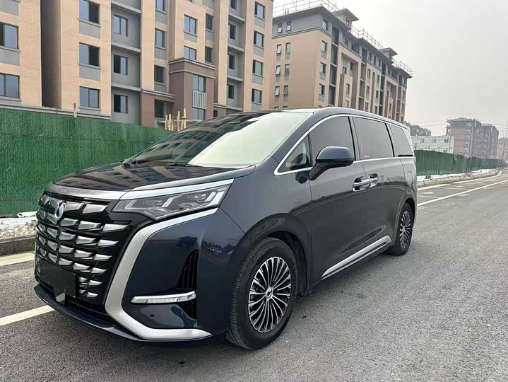 Фото 1 - Denza D9