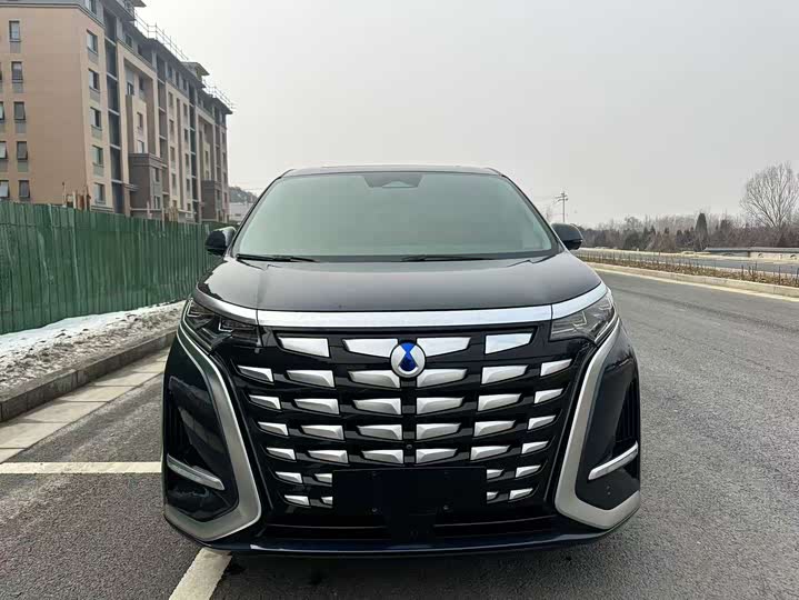 Фото 2 - Denza D9