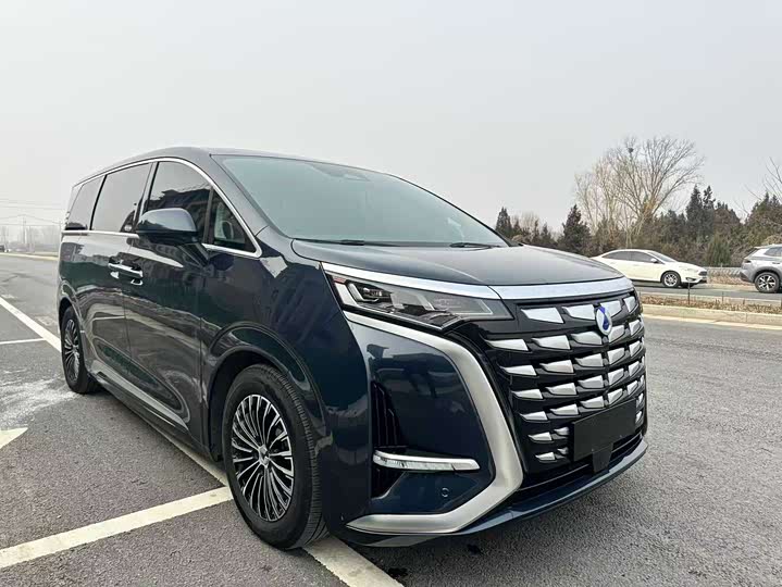 Фото 3 - Denza D9