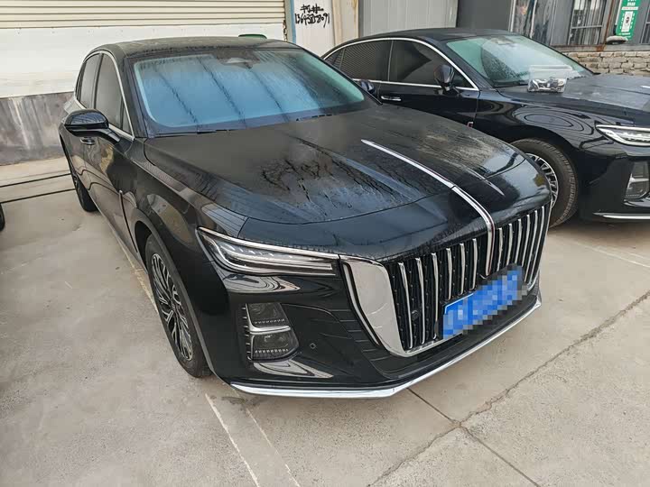 Фото 3 - Hongqi H5