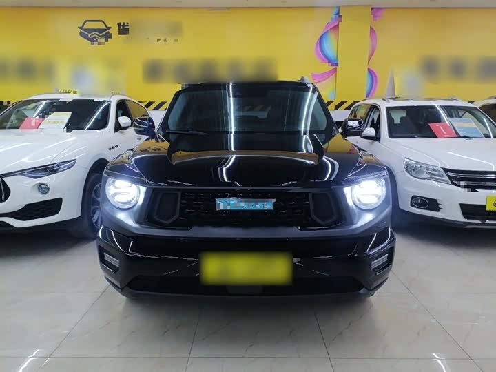 Фото 3 - Haval H-Dog Hybrid