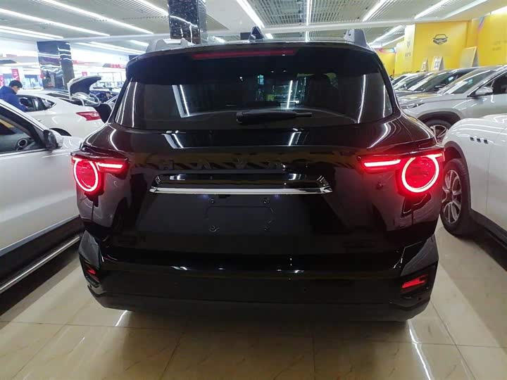 Фото 6 - Haval H-Dog Hybrid