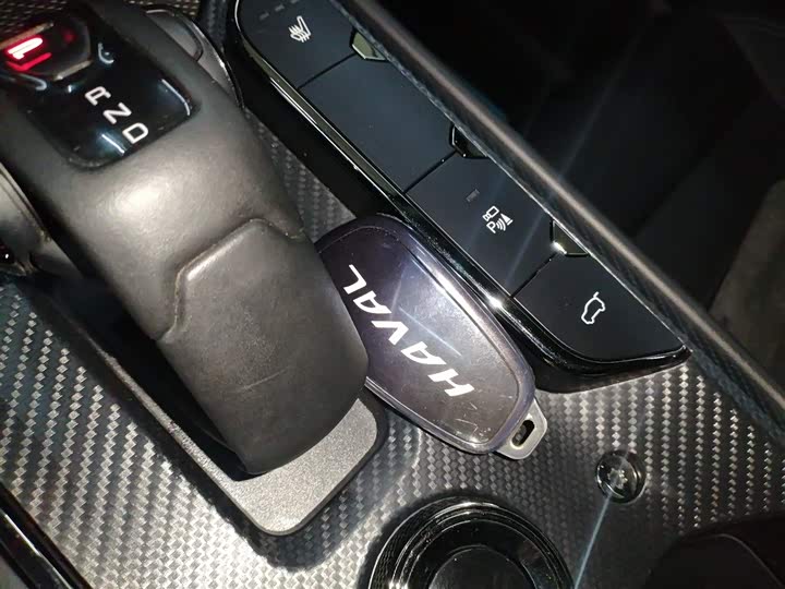 Фото 9 - Haval H-Dog Hybrid