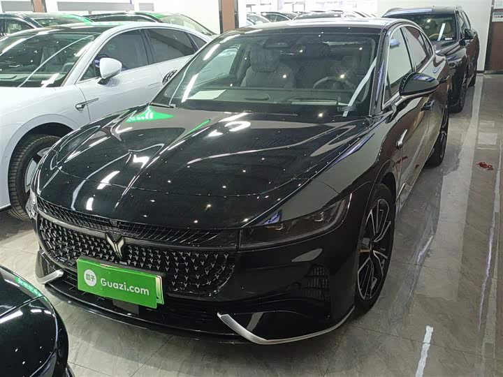 Фото 2 - Voyah Passion