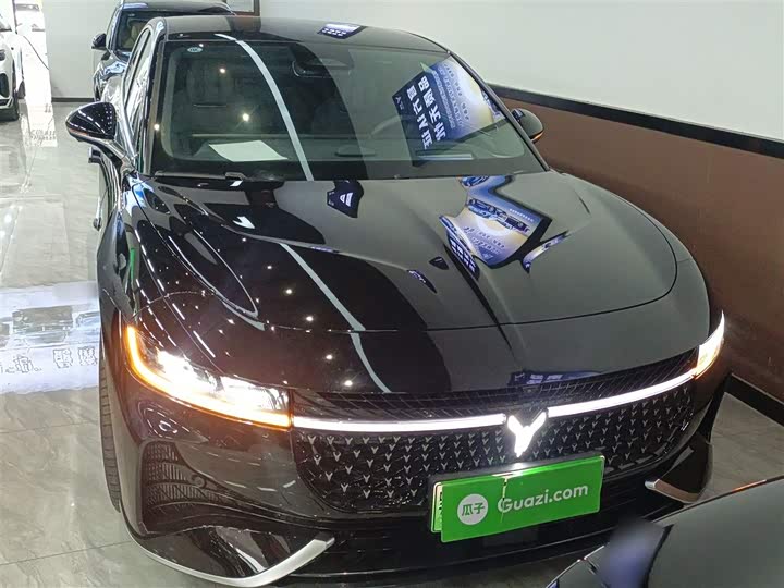 Фото 3 - Voyah Passion