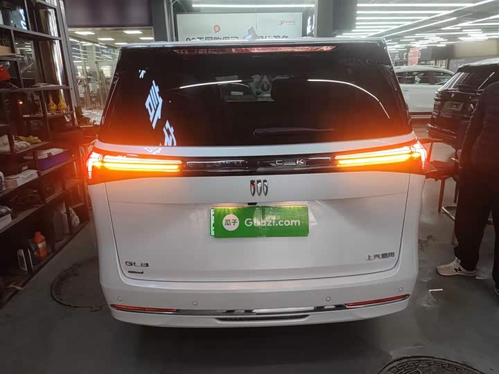 Фото 6 - Buick GL8 Hybrid