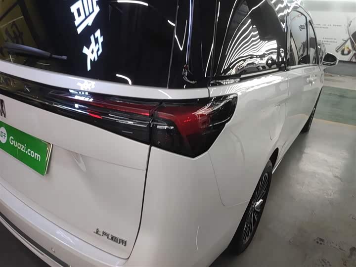 Фото 8 - Buick GL8 Hybrid