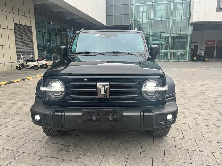 Фото 2 - Tank 300