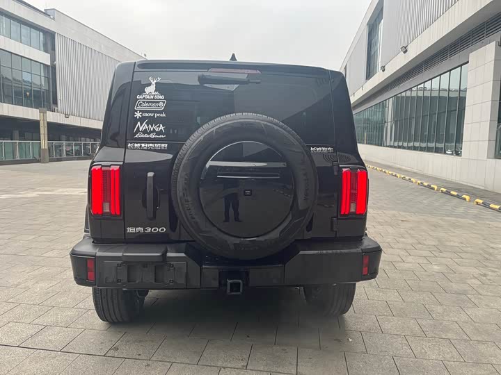 Фото 3 - Tank 300