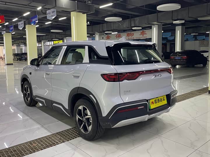 Фото 7 - BYD Yuan Up