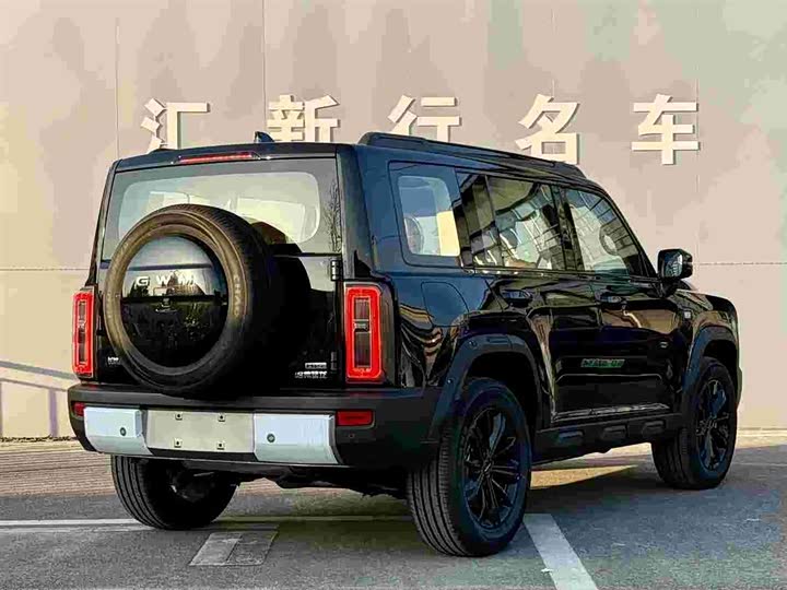 Фото 4 - Haval Raptor Hybrid