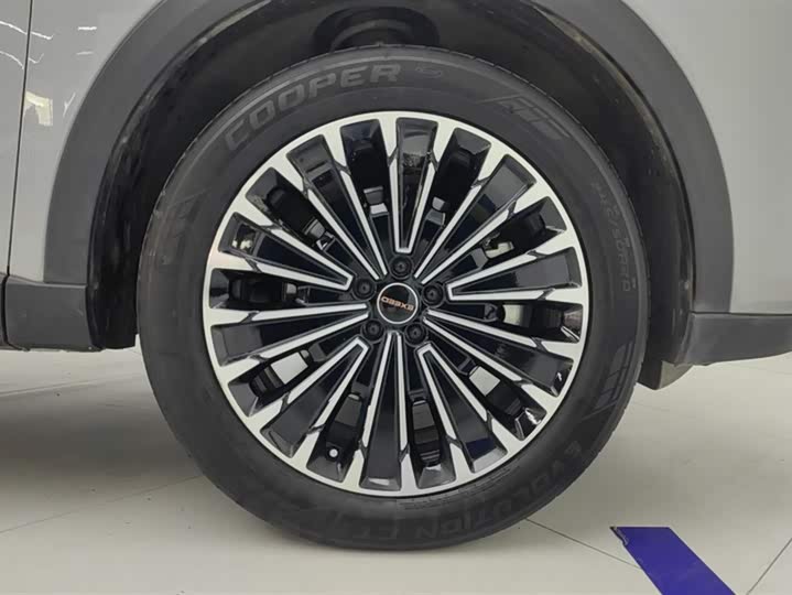 Фото 6 - Exeed RX C-DM Hybrid