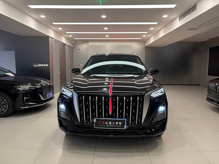 Фото 3 - Hongqi HS5