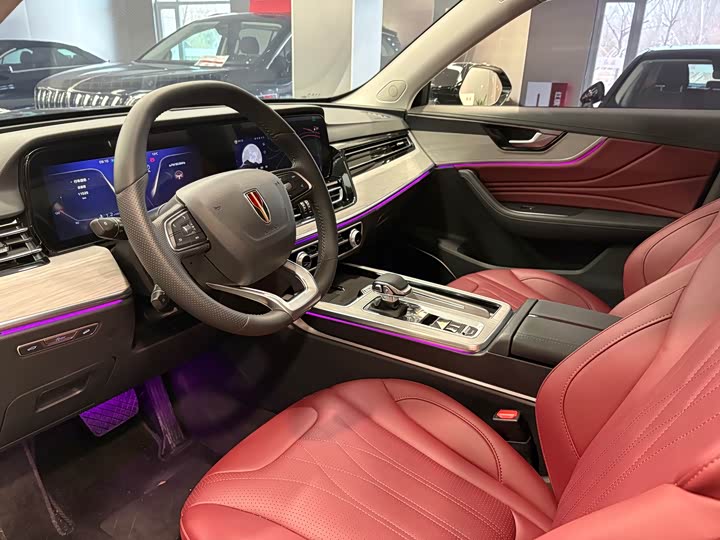 Фото 7 - Hongqi HS5