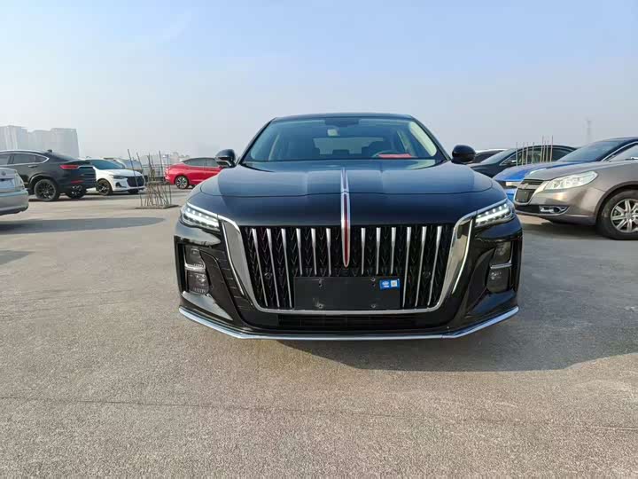 Фото 2 - Hongqi H5