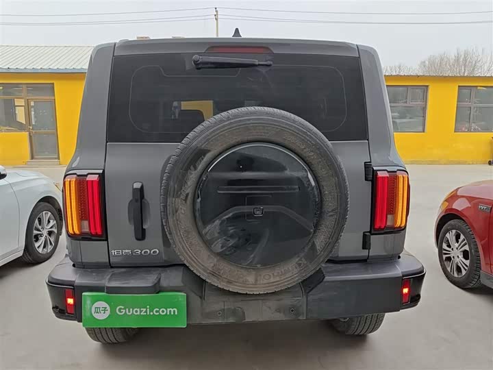 Фото 6 - Tank 300