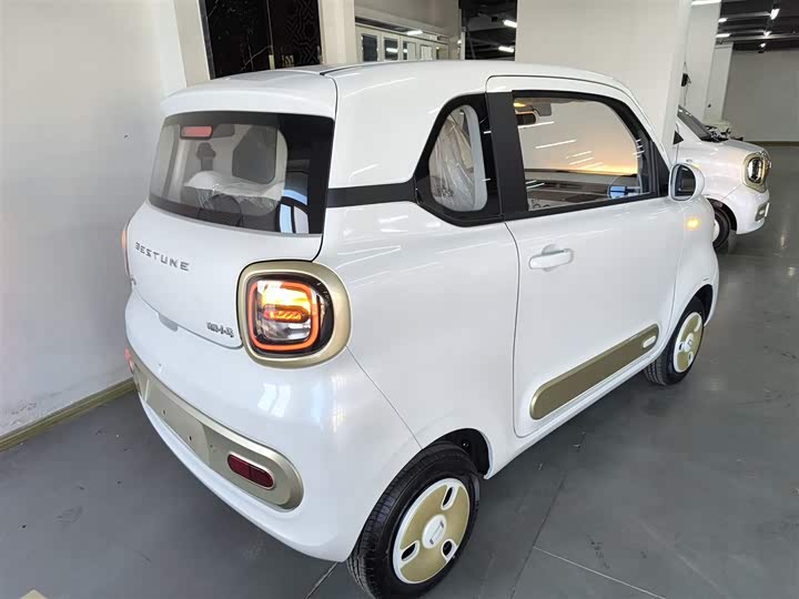 Фото 7 - Bestune Pony