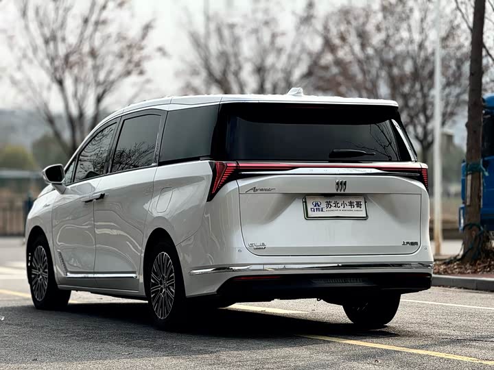 Фото 6 - Buick GL8 Hybrid