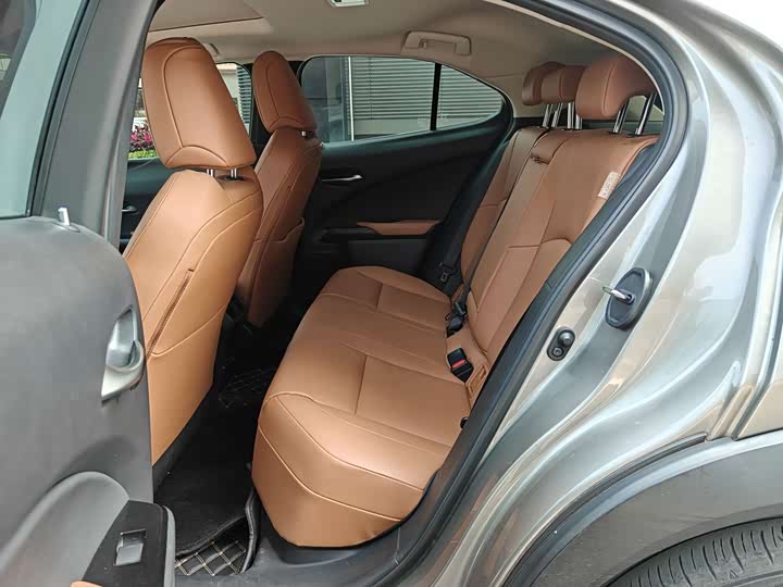 Фото 6 - Lexus UX Hybrid