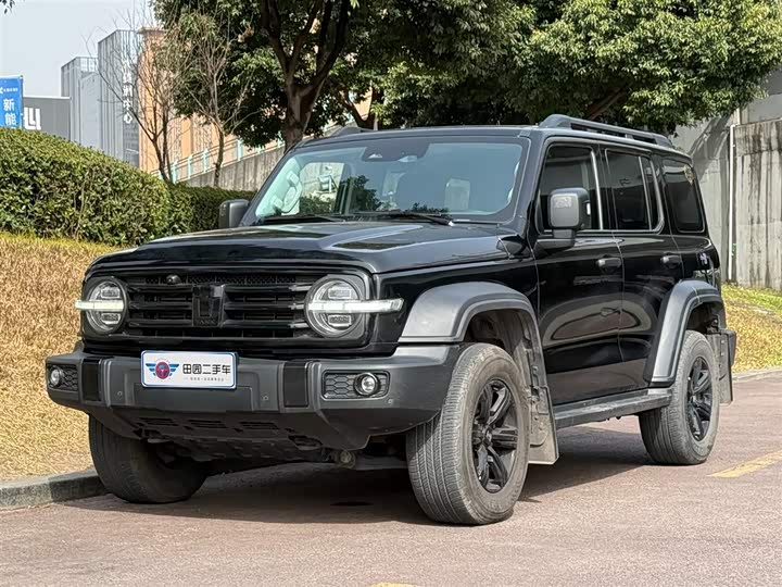 Фото 1 - Tank 300