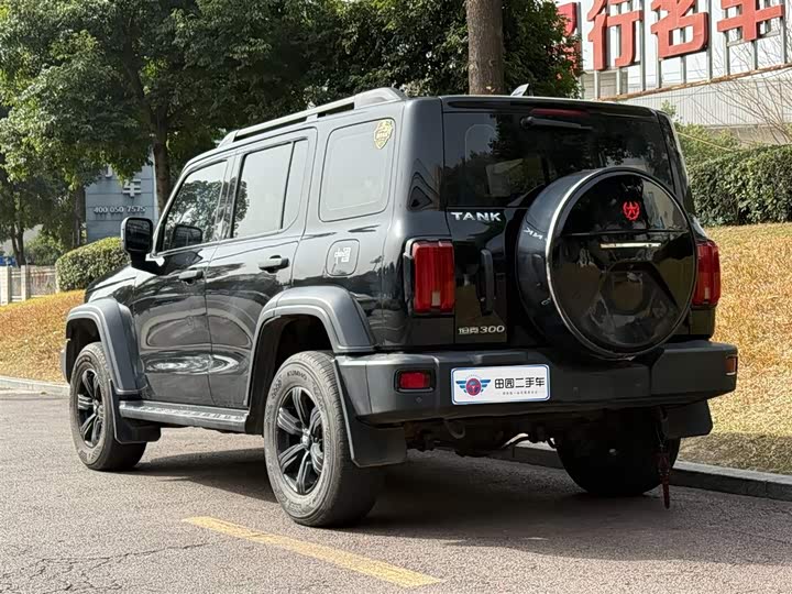 Фото 4 - Tank 300