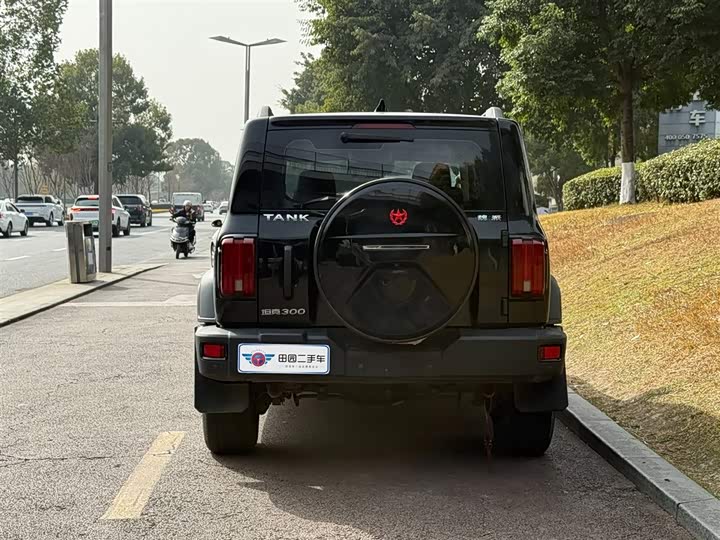 Фото 5 - Tank 300