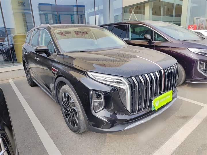 Фото 4 - Hongqi HS7 Hybrid