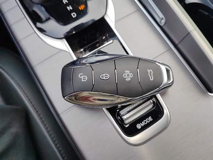 Фото 9 - Hongqi HS7 Hybrid