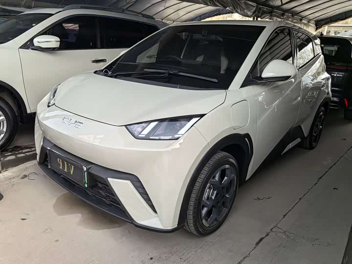 Фото 1 - BYD Seagull