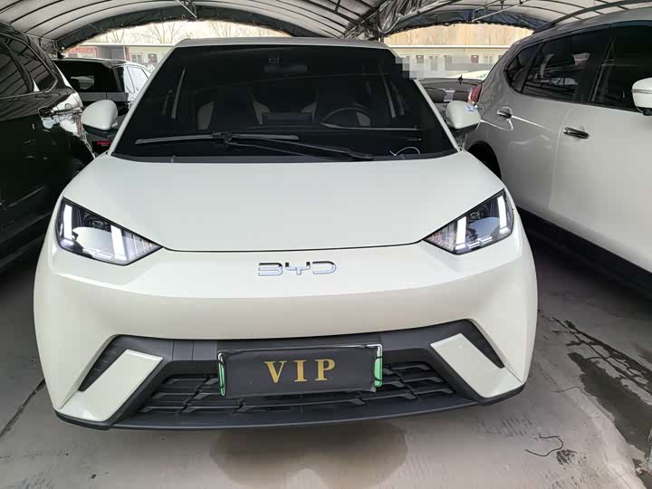 Фото 2 - BYD Seagull