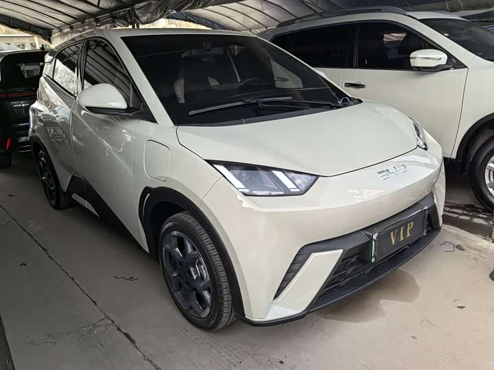 Фото 3 - BYD Seagull