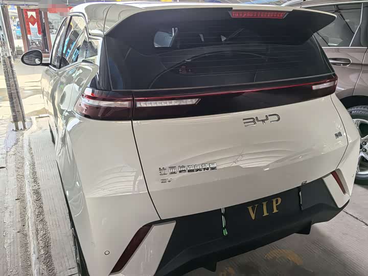 Фото 4 - BYD Seagull