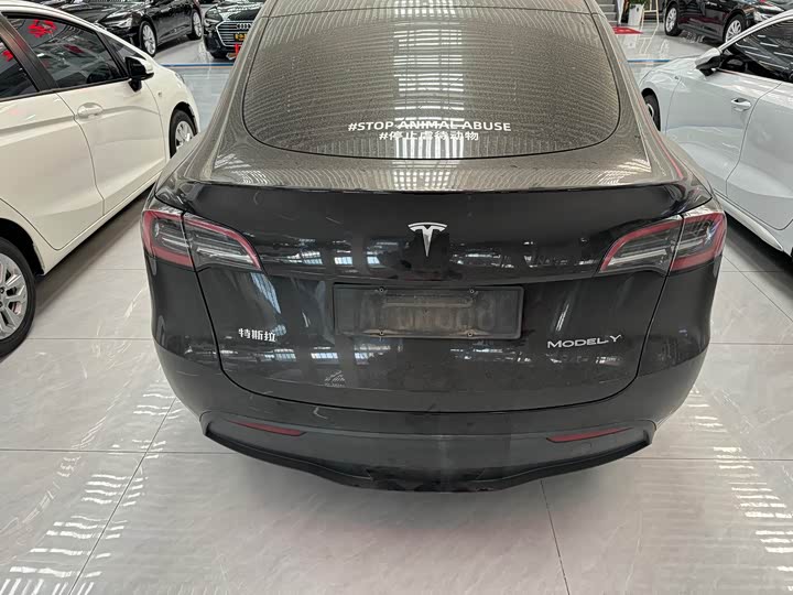 Фото 8 - Tesla Model Y
