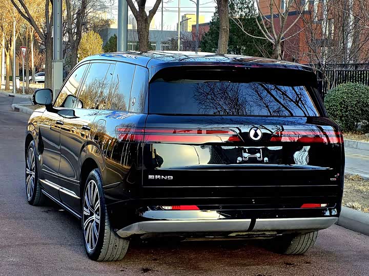 Фото 3 - Denza N9