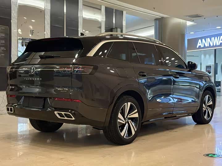 Фото 5 - Volkswagen Tavendor