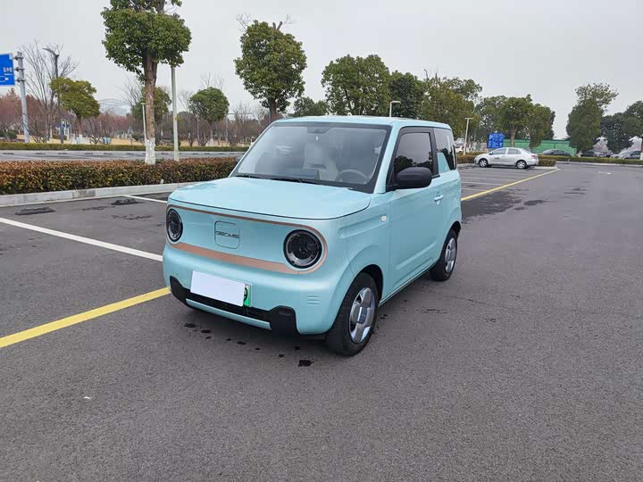 Фото 1 - Geely Galaxy Panda Mini