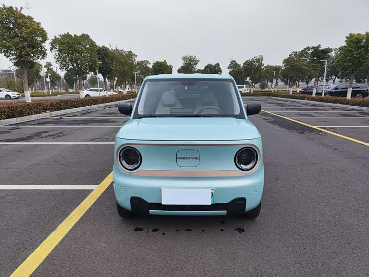 Фото 2 - Geely Galaxy Panda Mini