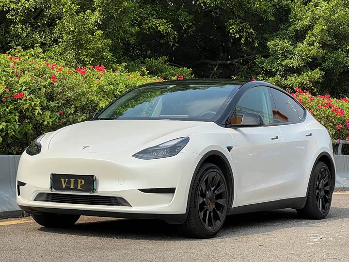 Фото 1 - Tesla Model Y