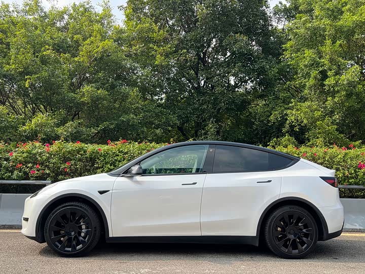 Фото 3 - Tesla Model Y